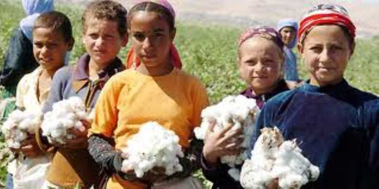 Çalışan 6-14 yaş arası kız çocuklarının %75’i tarım sektöründe!
