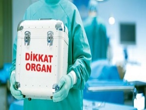28 Bin Hasta Organ Bekliyor