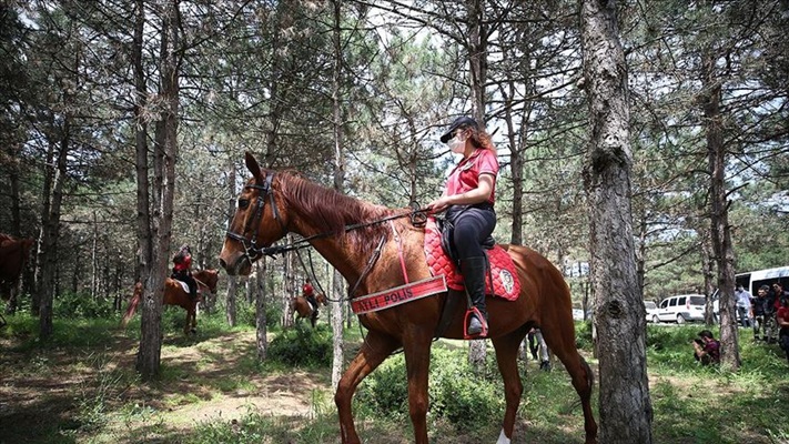 İstanbul'un ormanları 'doğa devriyesiyle' daha huzurlu olacak