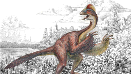Cehennemden tavuk: Yeni dinozor türü