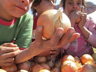 On binlerce Çocuk 16 Eylül'de Okula Gidemeyecek