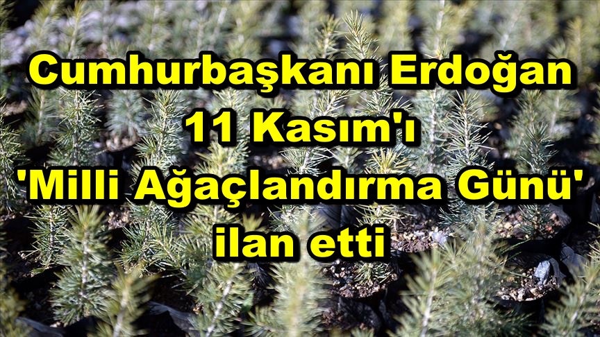 Cumhurbaşkanı Erdoğan 11 Kasım'ı 'Milli Ağaçlandırma Günü' ilan etti
