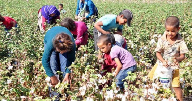 Tarım işçilerinin çocuklarına 'mobil' sınıflar
