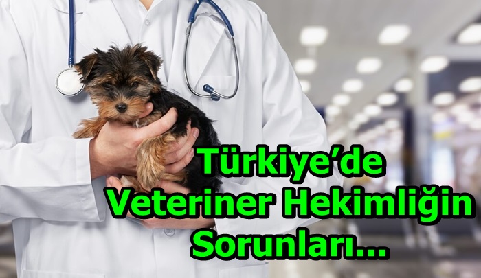 Türkiye’de veteriner hekimliğin sorunları...