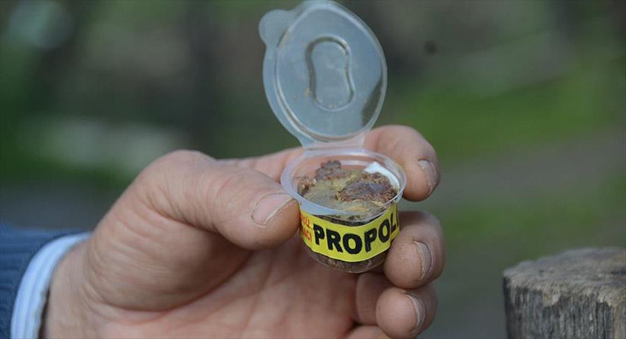 'Dünya piyasalarındaki propolisin yüzde 90'ı sahte'