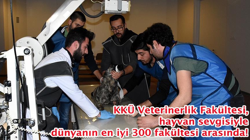 KKÜ Veterinerlik Fakültesi, hayvan sevgisiyle dünyanın en iyi 300 fakültesi arasında!