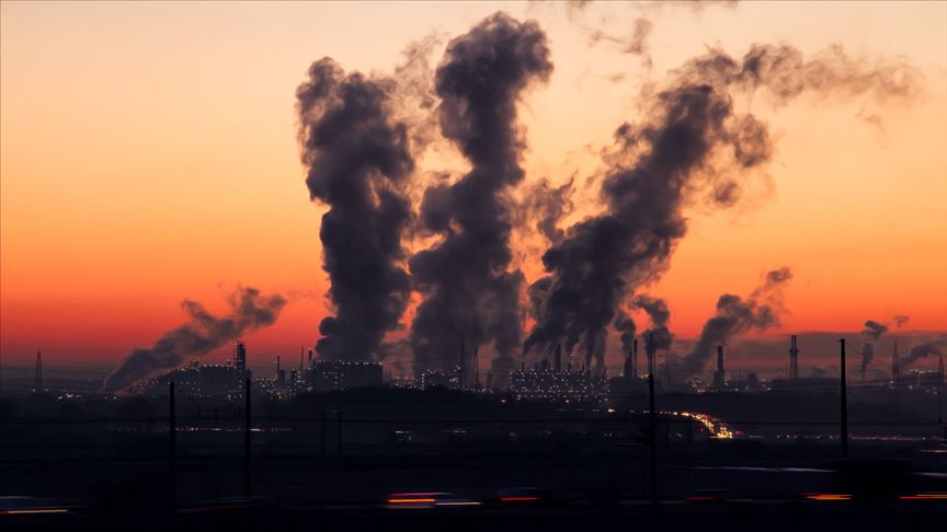 'Hava kirliliği, ekosisteme olumsuz etkisi olan bir çevre sorunudur'