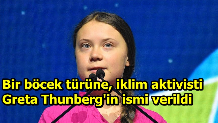 Bir böcek türüne, iklim aktivisti Greta Thunberg'in ismi verildi