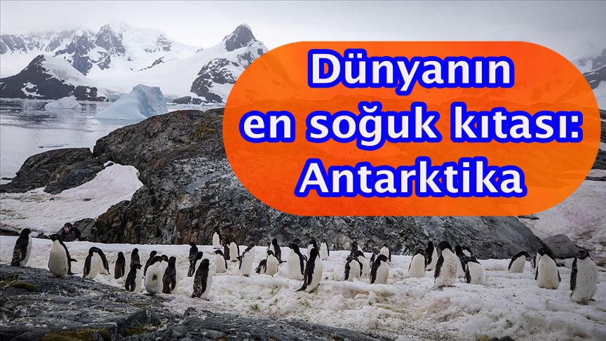 Dünyanın en soğuk kıtası: Antarktika