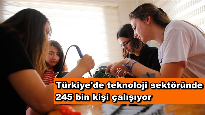 Türkiye'de teknoloji sektöründe 245 bin kişi çalışıyor