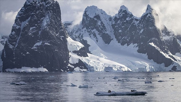 Antartika'daki eriyen kar yüzeyi yosun örtüleriyle kaplanıyor
