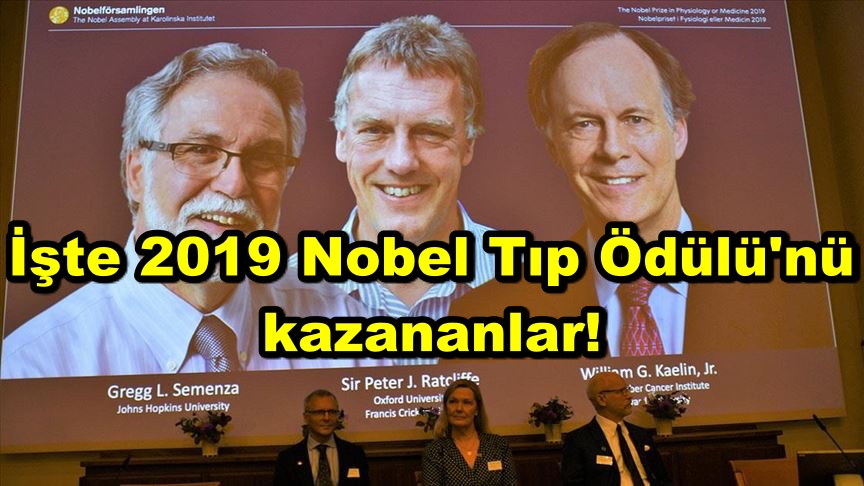 İşte 2019 Nobel Tıp Ödülü'nü kazananlar!
