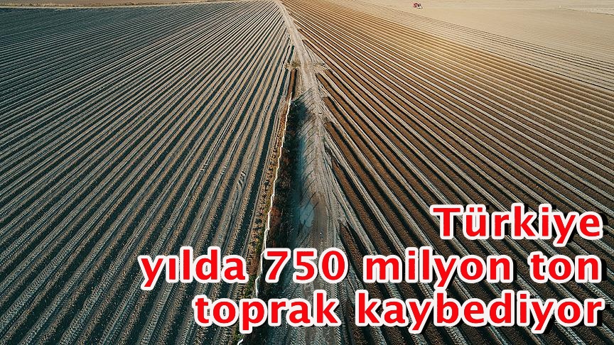 Türkiye yılda 750 milyon ton toprak kaybediyor