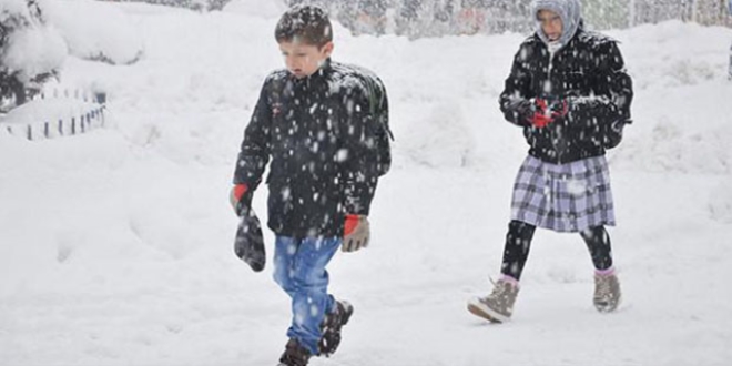 Ordu'da 5 ilçede okullara kar tatili