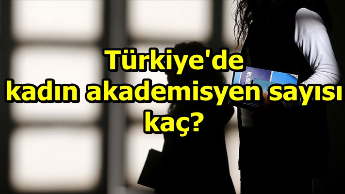 Türkiye'de kadın akademisyen sayısı kaç?